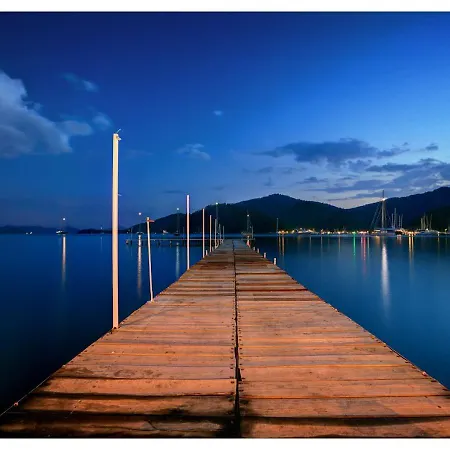 Only Blue Rhapsody 3